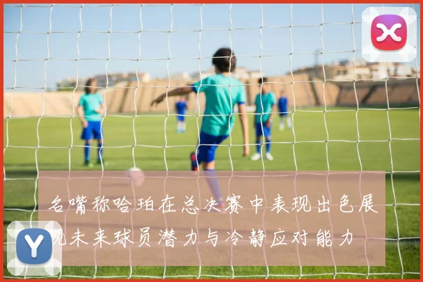 名嘴称哈珀在总决赛中表现出色展现未来球员潜力与冷静应对能力