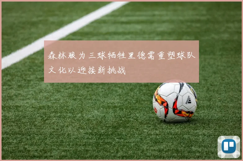 森林狼为三球牺牲里德需重塑球队文化以迎接新挑战